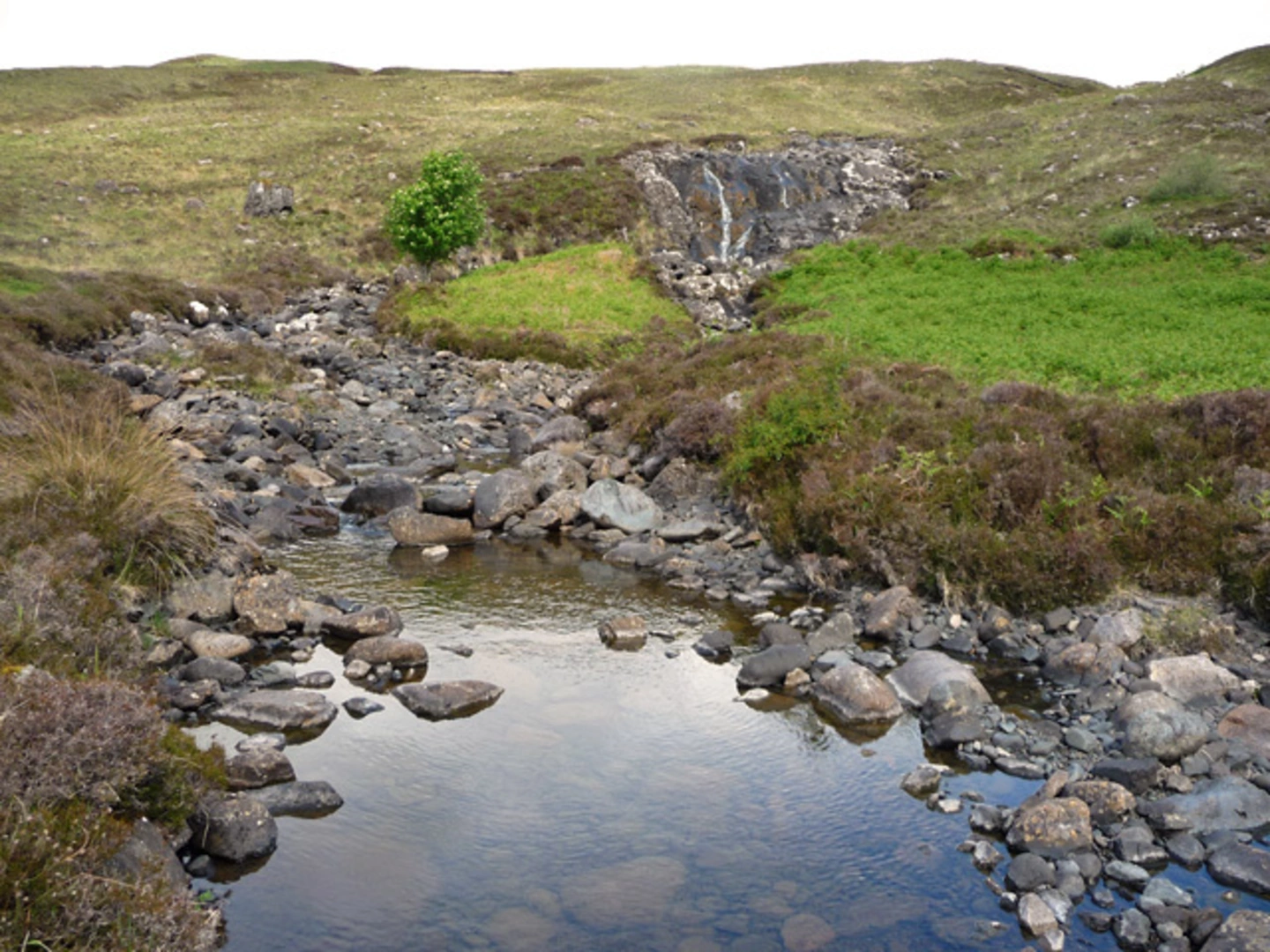 An image depicting the trail The Braes and Dunan an Aisilidh Walk from Sligachan and its surrounding area.