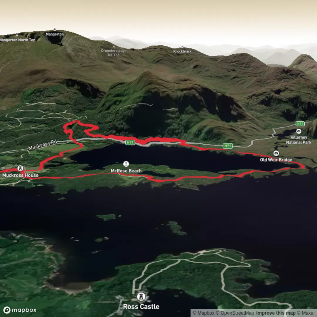 An image depicting the trail Muckross House and National Park and its surrounding area.