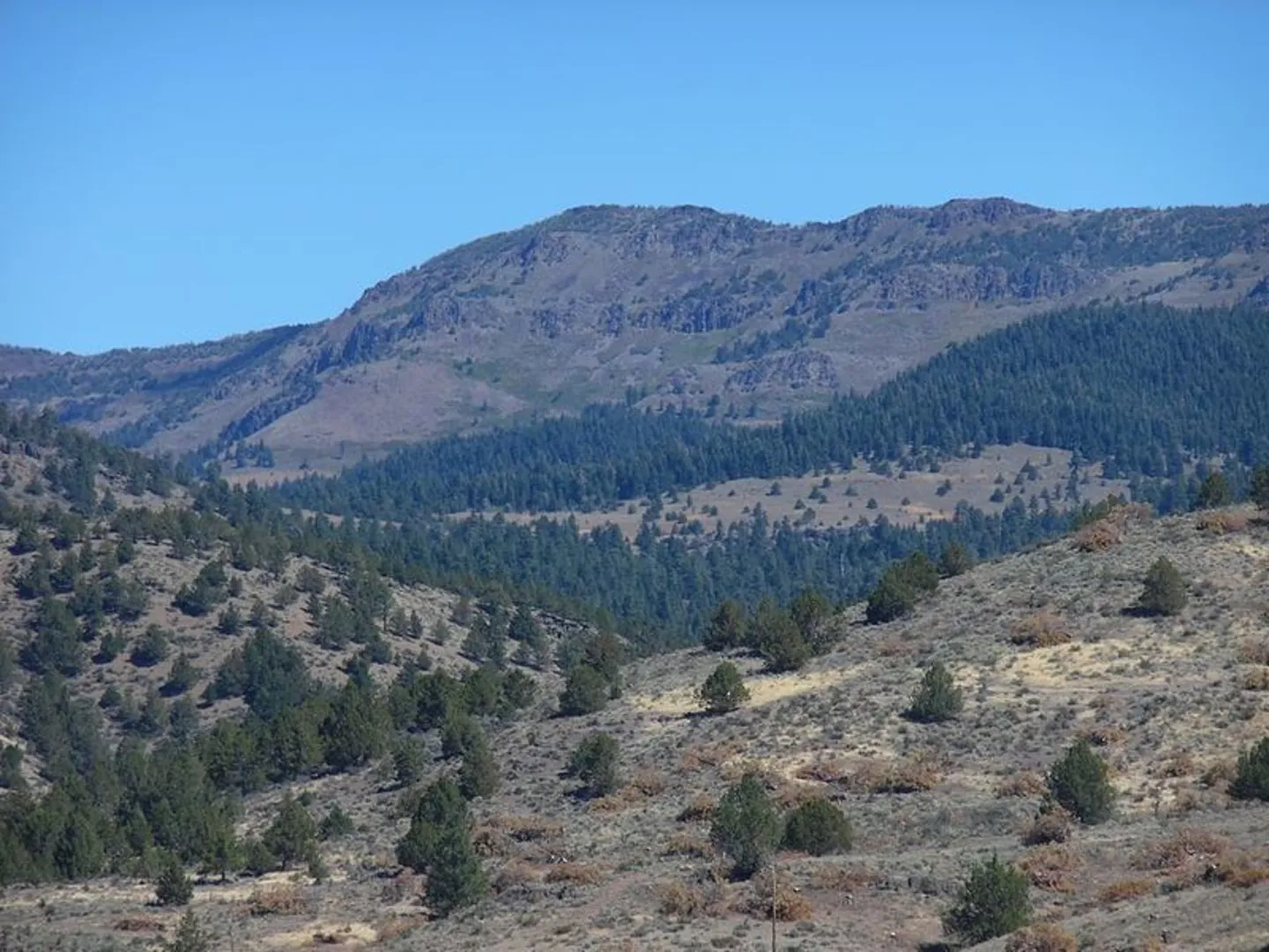 An image depicting the trail Crane Mountain National Recreation Trail and its surrounding area.