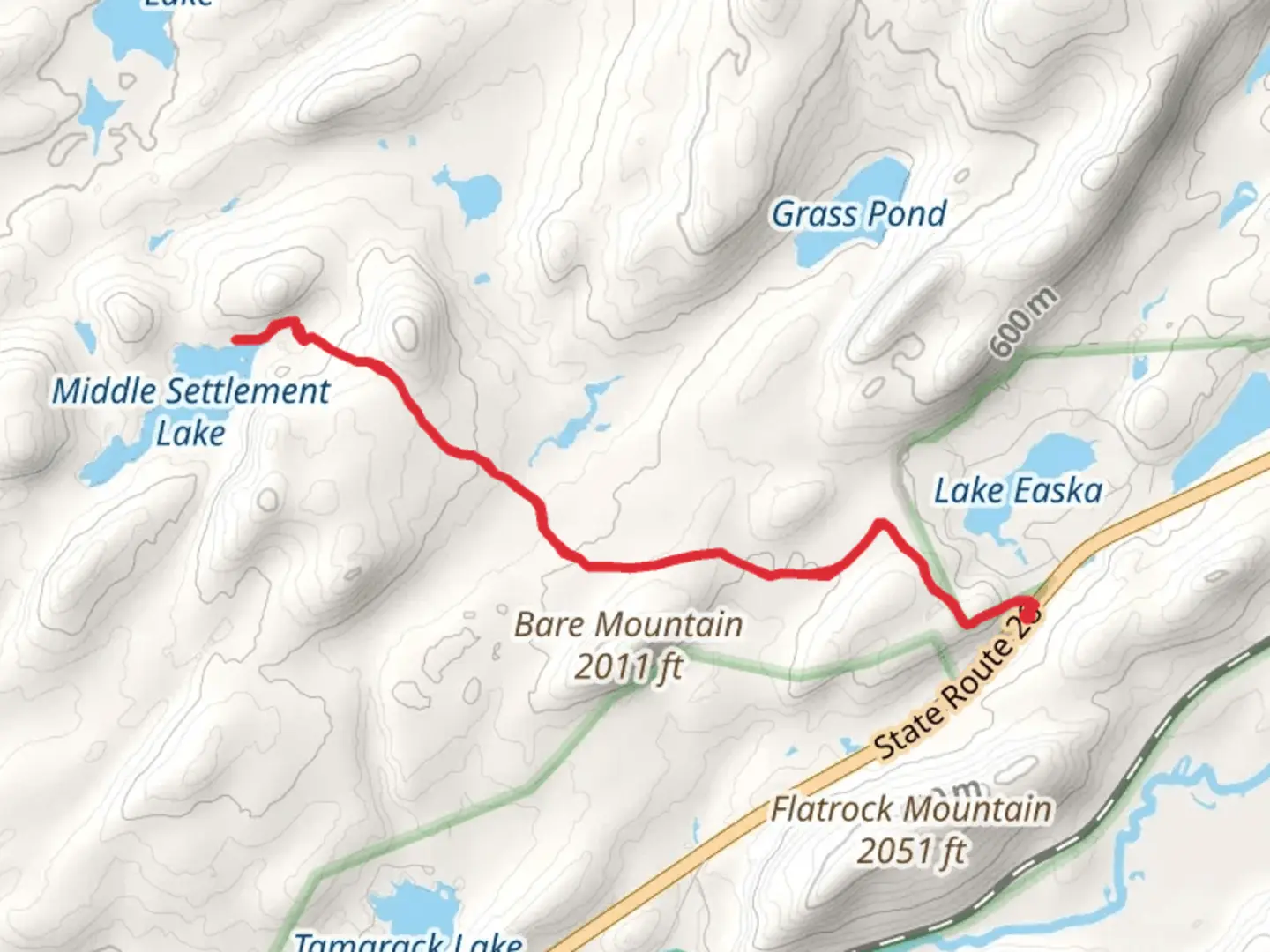 An image depicting the trail Middle Settlement Lake Trail Out and Back and its surrounding area.