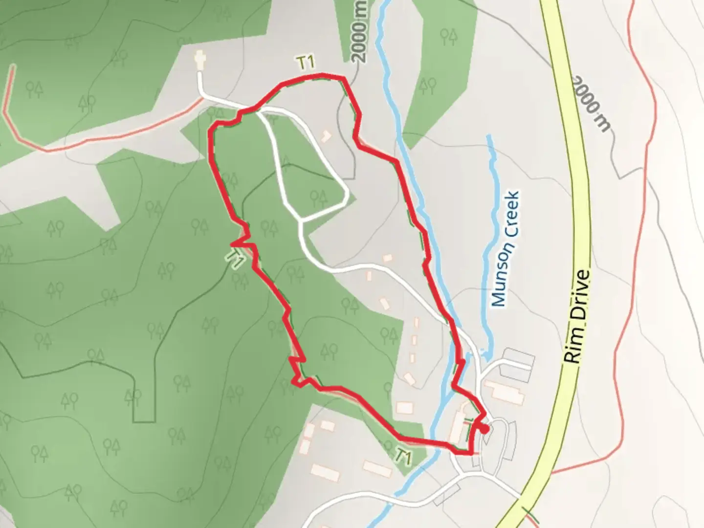 An image depicting the trail Lady of the Woods Loop and its surrounding area.