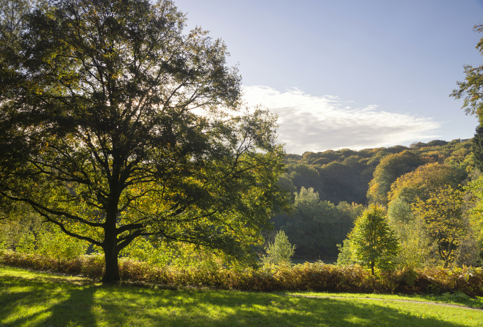 An image depicting the trail Afrika Museum, Duivelsberg and Wylerbergmeer Loop and its surrounding area.