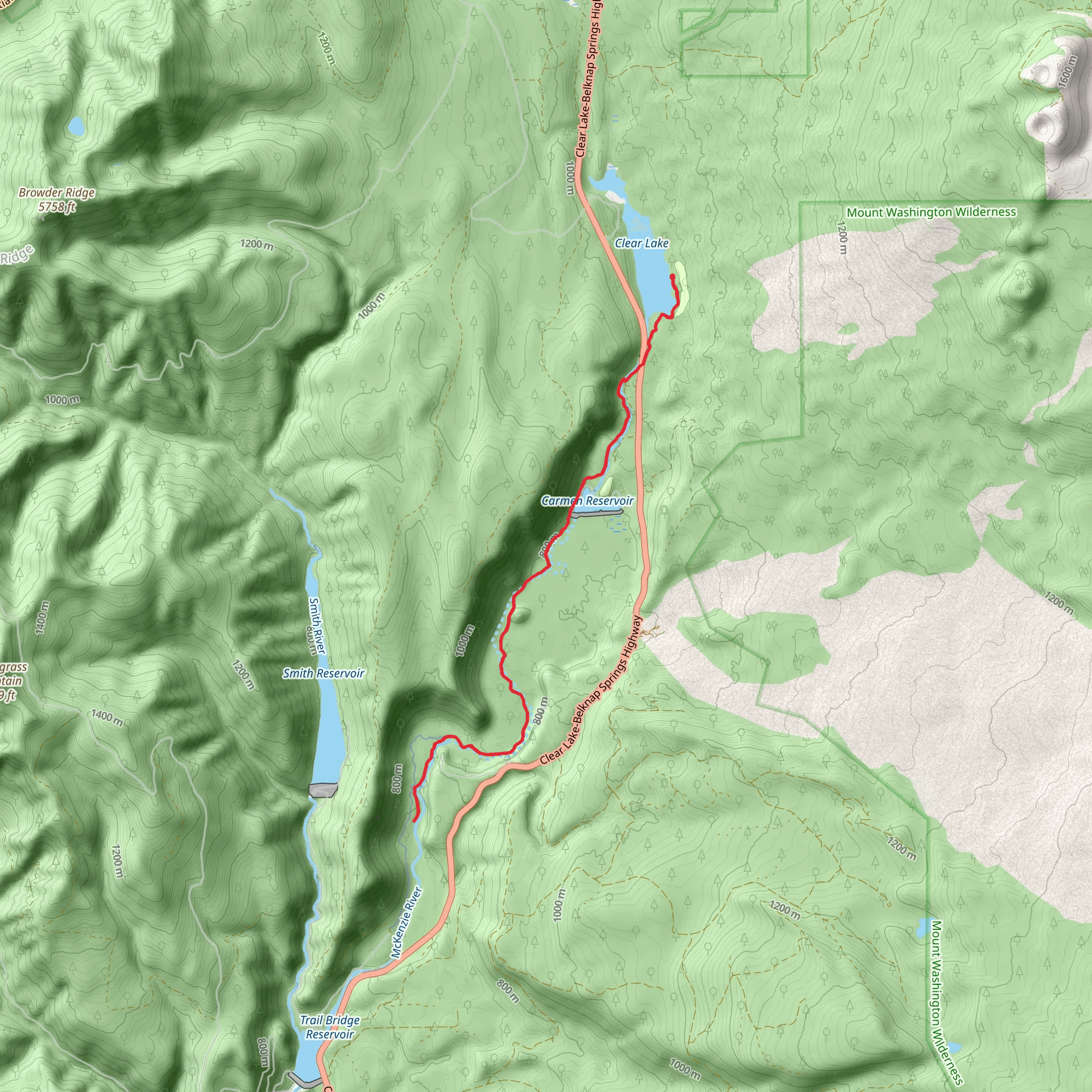 McKenzie River Trail from Clear Lake mobile static map
