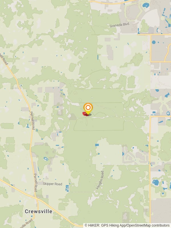 Cypress Swamp Loop Trail