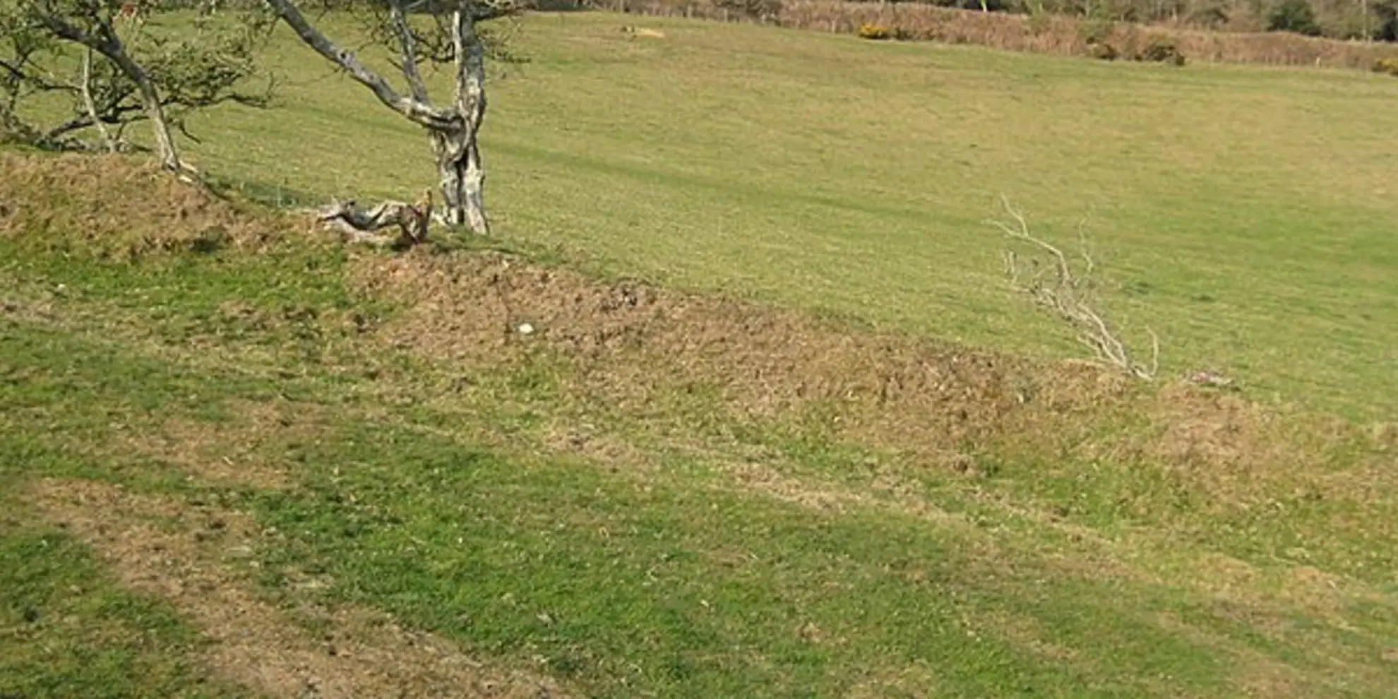 An image depicting the trail Langdon Hill Walk and its surrounding area.