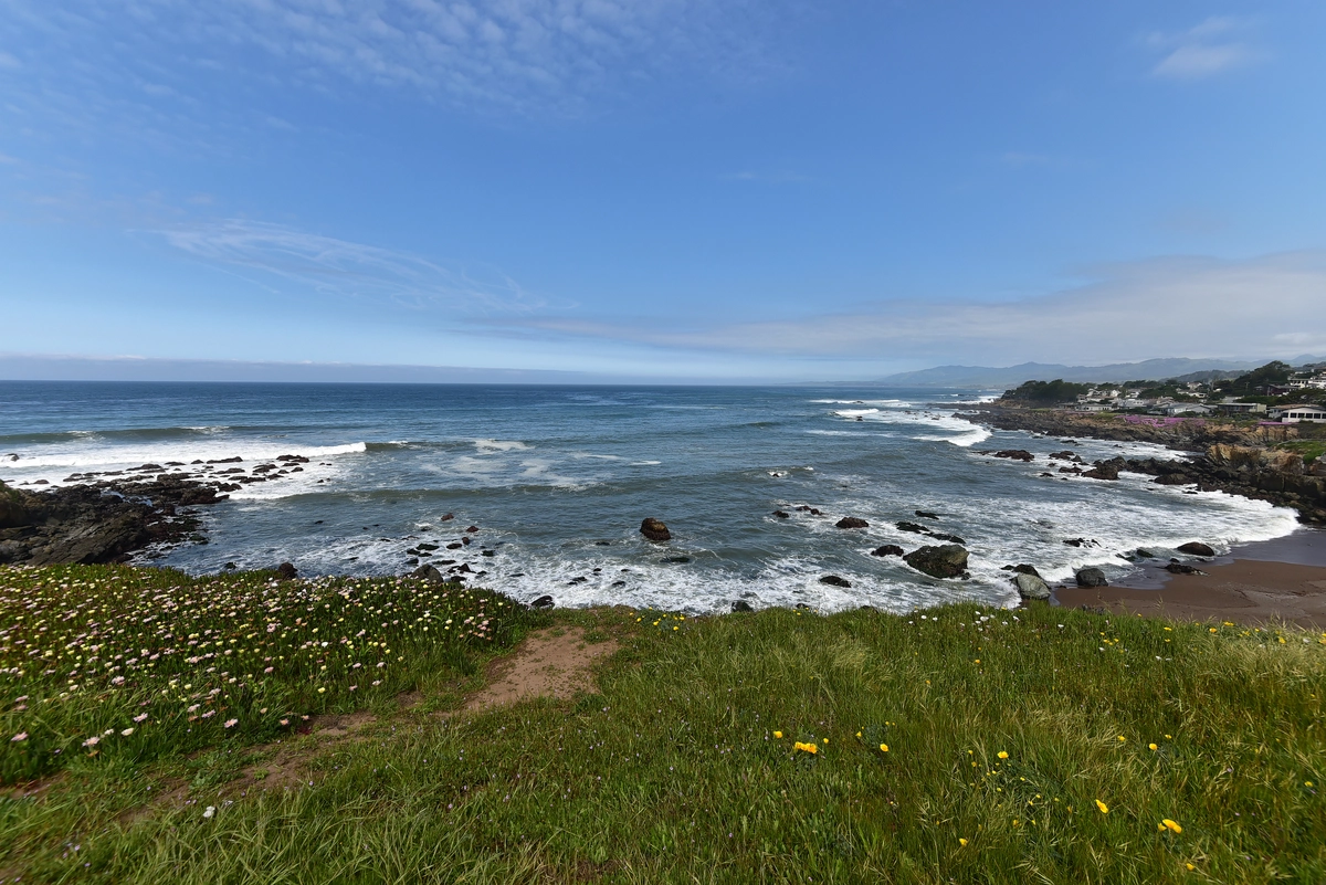Bluff and Marine Terrace Loop Trail