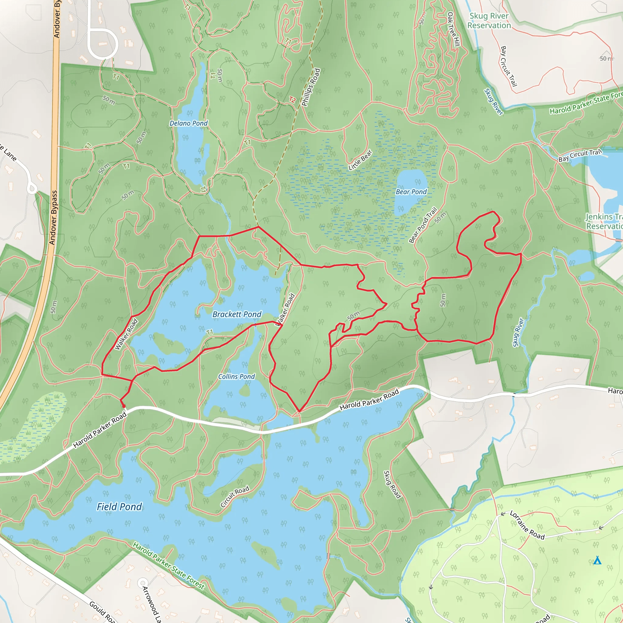 Brackett Pond Dam and Bear Pond Trail Loop mobile static map