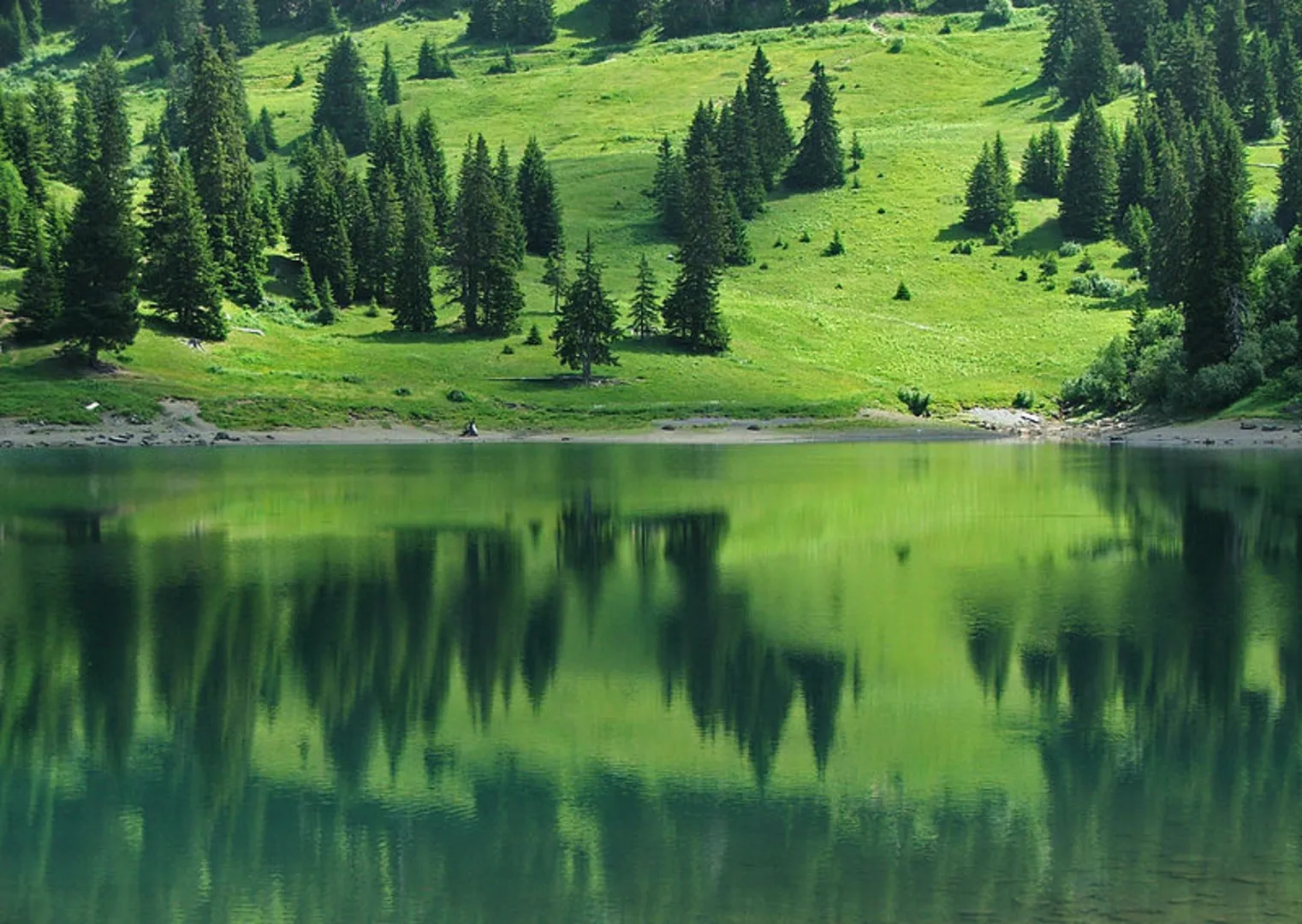 An image depicting the trail Lac des Chavonnes and Lac Noir Loop and its surrounding area.