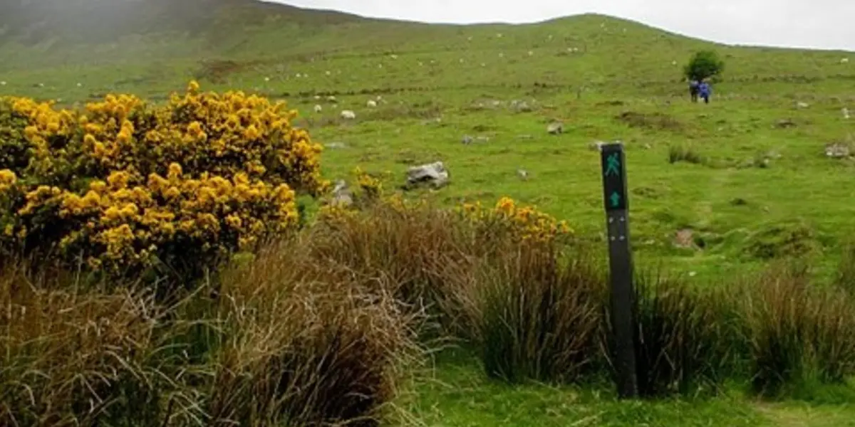 Lough Curra Trail