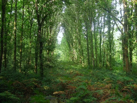 Hammerpot Circular Path
