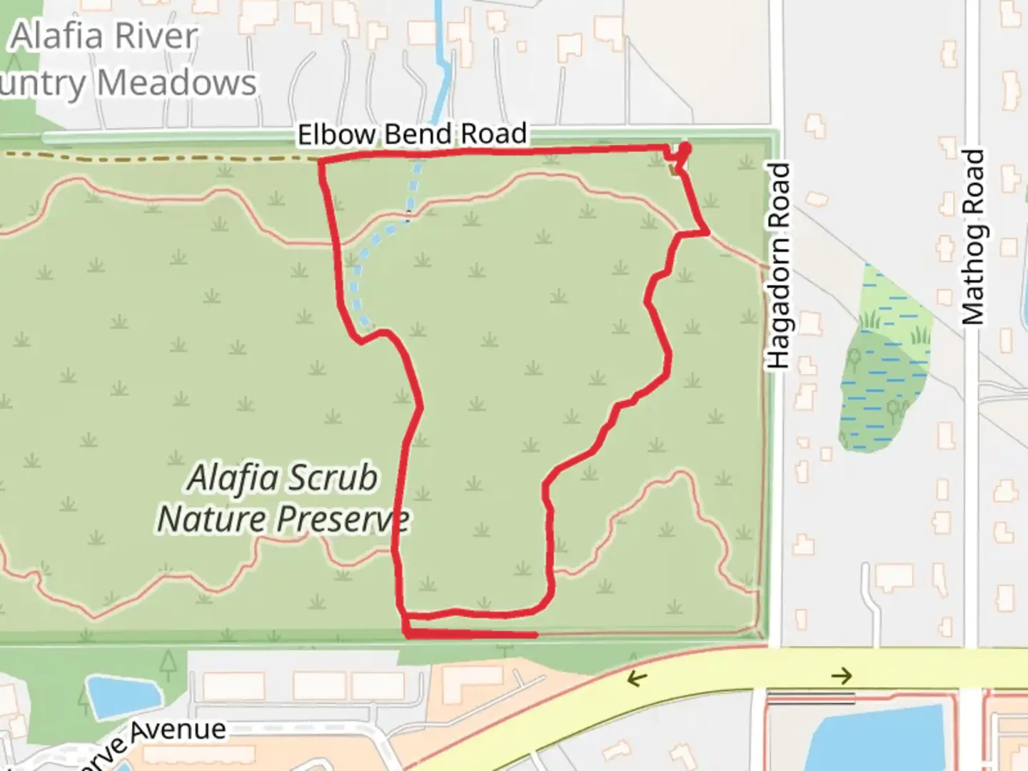 An image depicting the trail Alafia Scrub Nature Preserve Loop and its surrounding area.