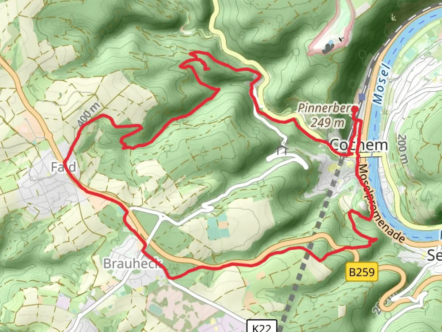 An image depicting the trail Mosel via Moselhoehenweg and Alter Ritterweg and its surrounding area.