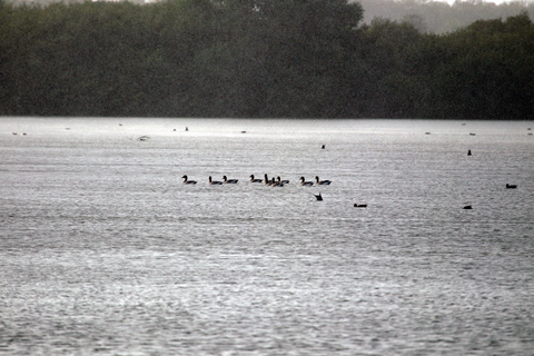 Noorderstrand to Zuiveringsinst via Waterstaatpad and Ree Weg