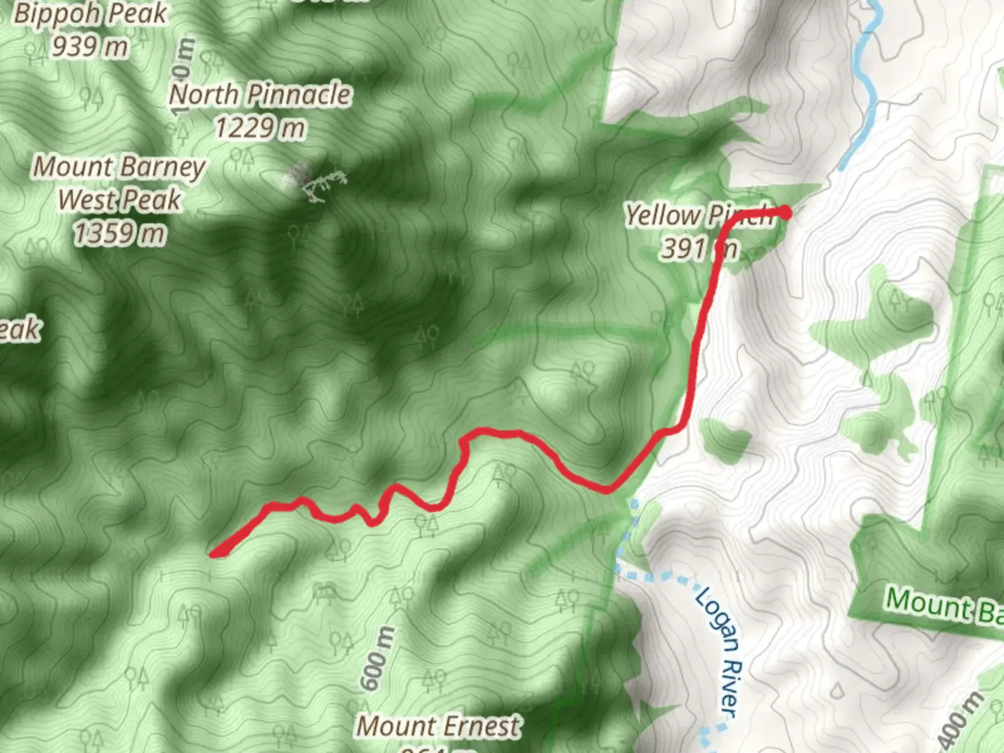 An image depicting the trail Cronan Creek Falls Track and its surrounding area.