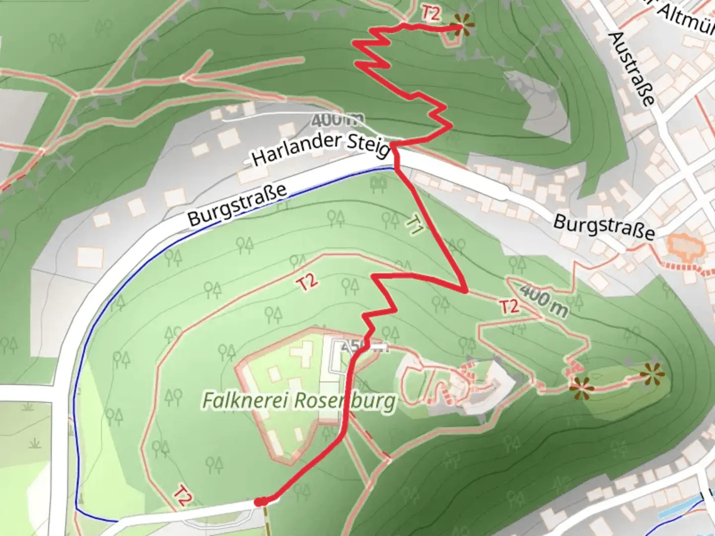 An image depicting the trail Ruine Tachenstein Walk via Drei Burgen Steig and its surrounding area.