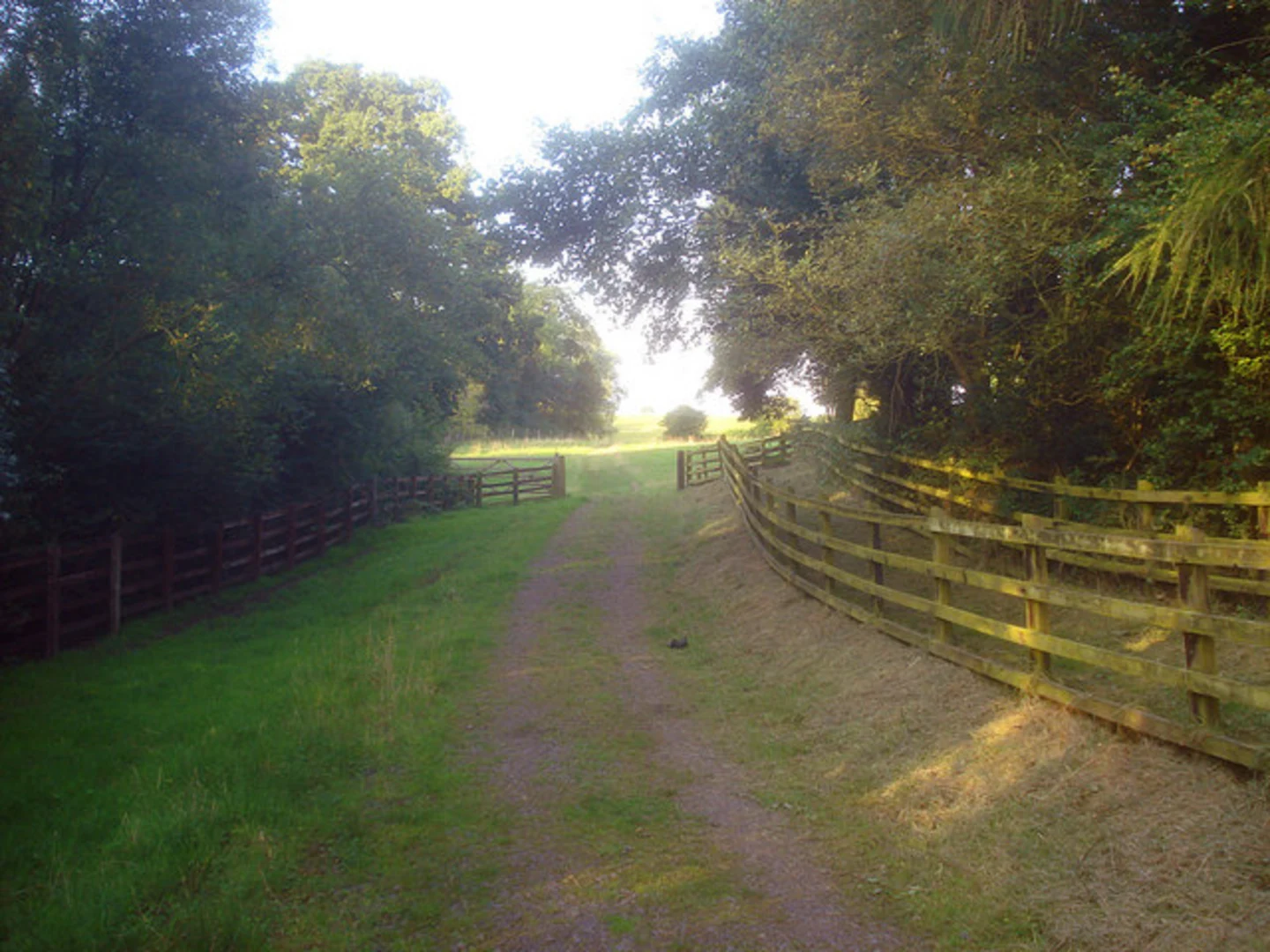 An image depicting the trail Dimminsdale and Heath End Loop and its surrounding area.