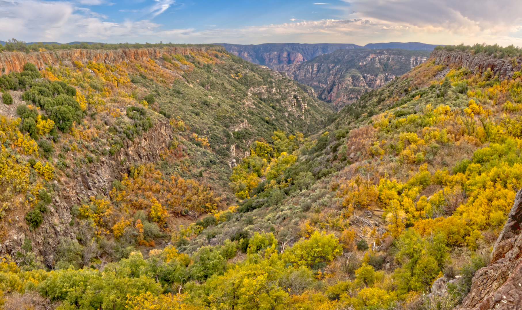 An image depicting the trail Sycamore Basin Trail and its surrounding area.