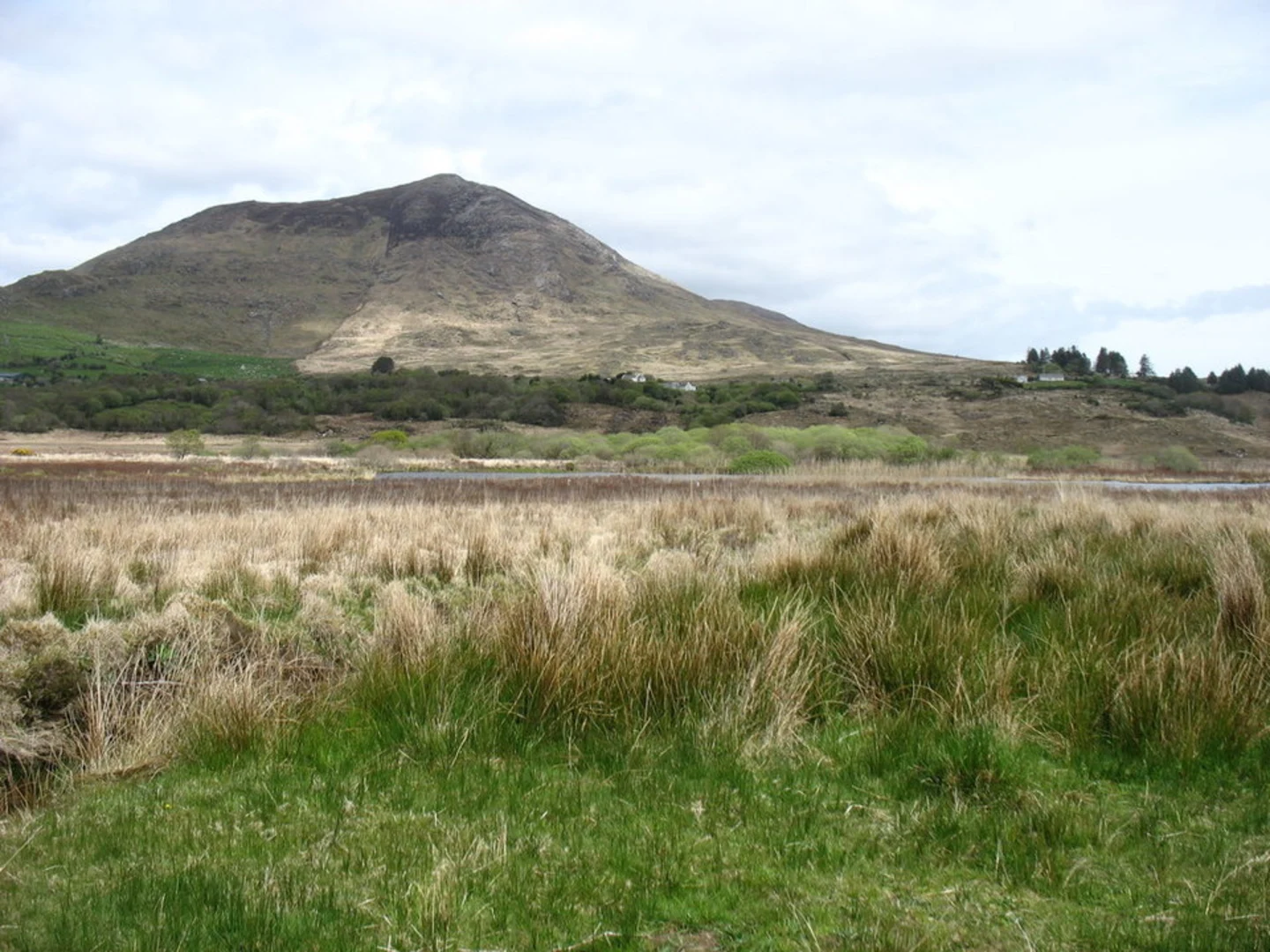 An image depicting the trail Knocklomena and Boughil via Bascadh West Top and its surrounding area.