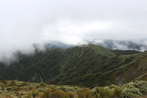 Waiopehu Hut Loop