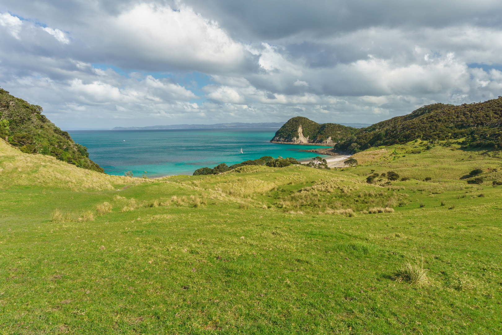 An image depicting the trail Smugglers Bay Loop Track and its surrounding area.