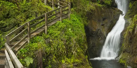 An image depicting the trail Glenariff Nature Reserve Waterfalls Walk and its surrounding area.