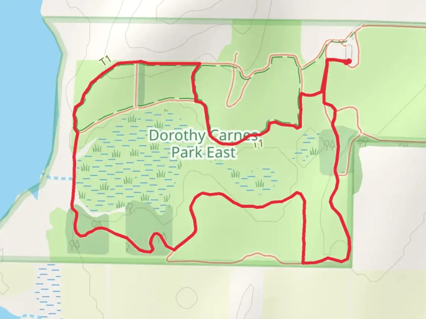 An image depicting the trail Loop beside Rose Walk and its surrounding area.