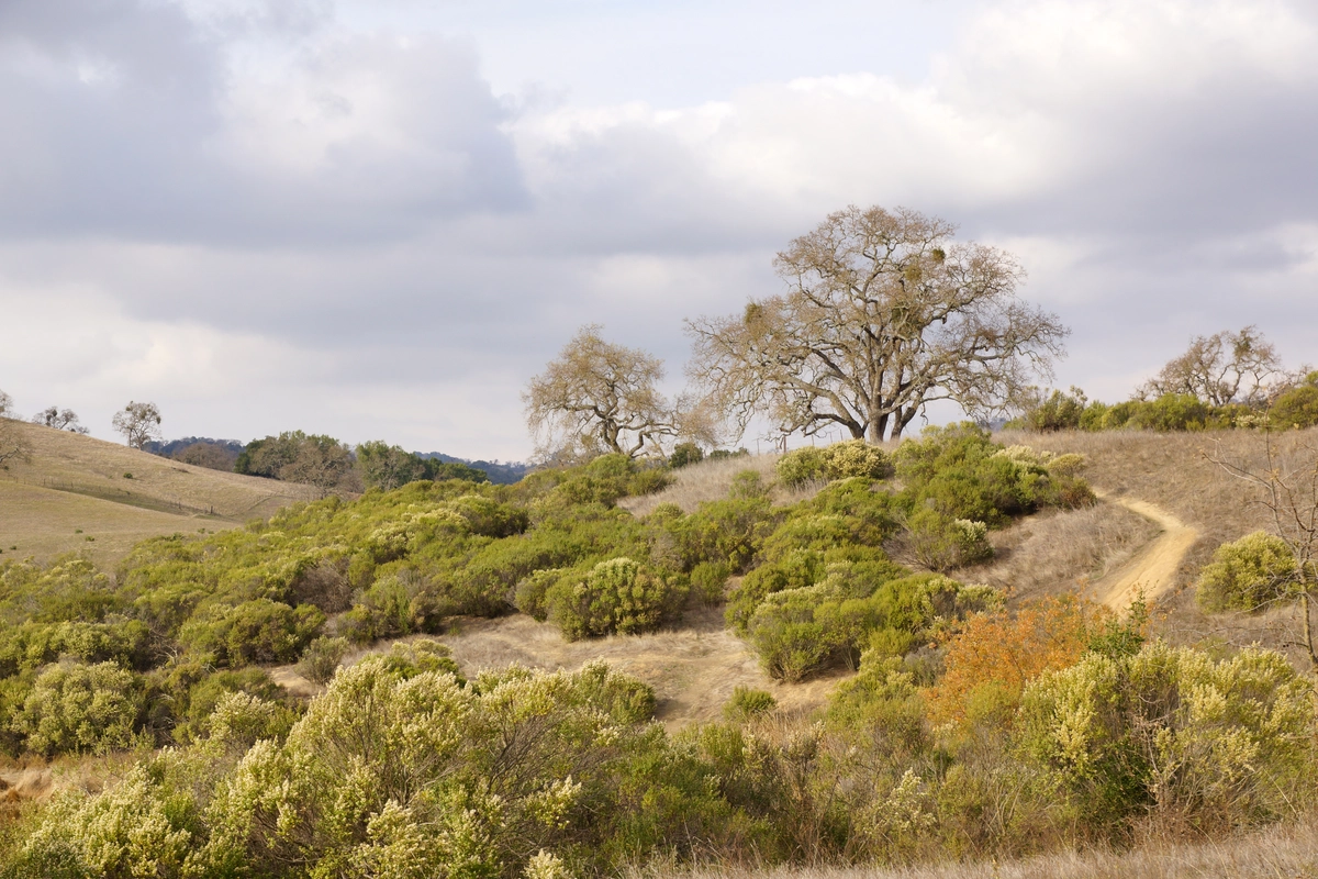 Yerba Buena and Los Huecos Loop Trail