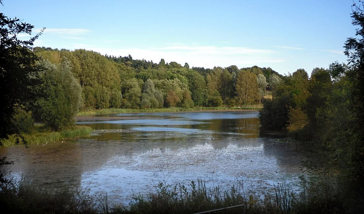 Amwell Nature Reservoir, Hardmead Lock and Ware Loop