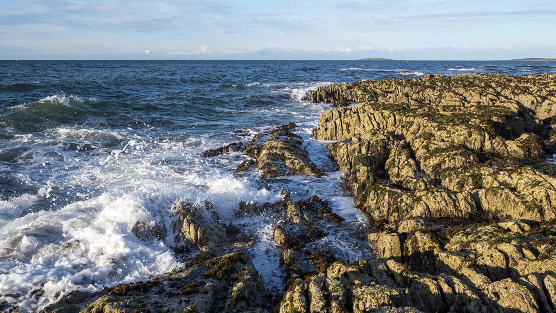 An image depicting the trail Ballymacormick Point and its surrounding area.