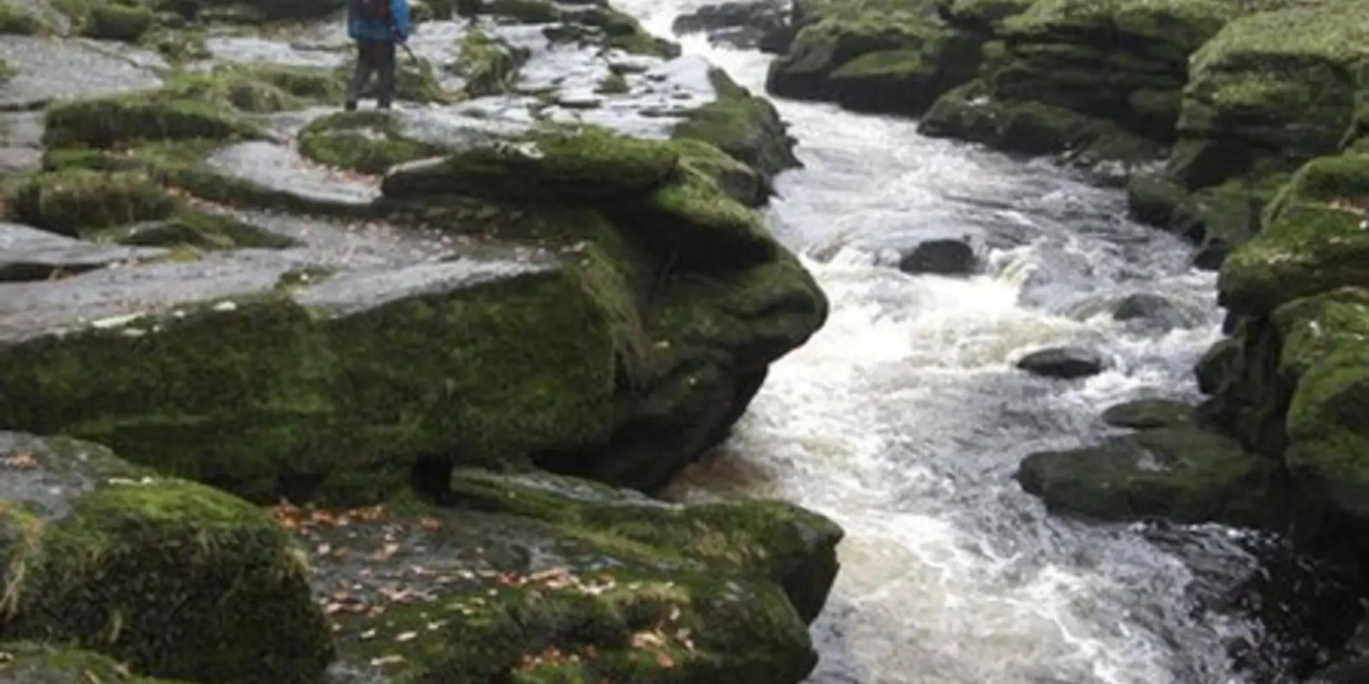 An image depicting the trail Bolten Abbey Walk and its surrounding area.