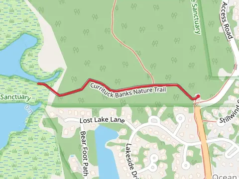 Currituck Banks Nature Short Walk