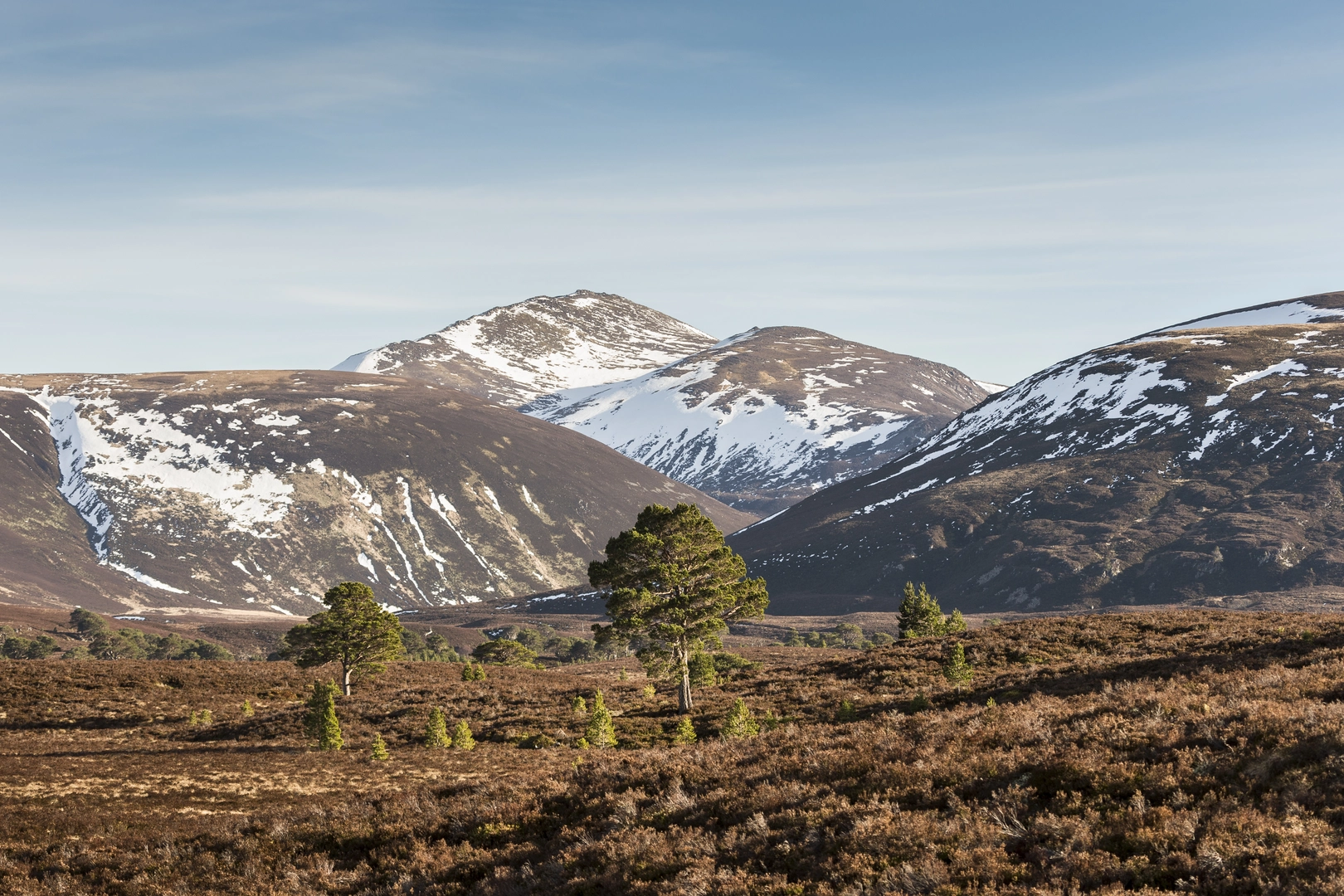 An image depicting the trail Creag Mhor and Bynack More Loop from Glenmore and its surrounding area.