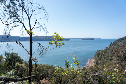 An image depicting the trail Flint and Steel Track and its surrounding area.