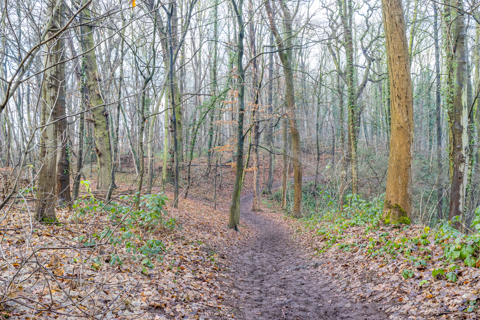 An image depicting the trail Jeker and Fort Sint Pieter via Pieterpad deel 2 and GR 561 and its surrounding area.