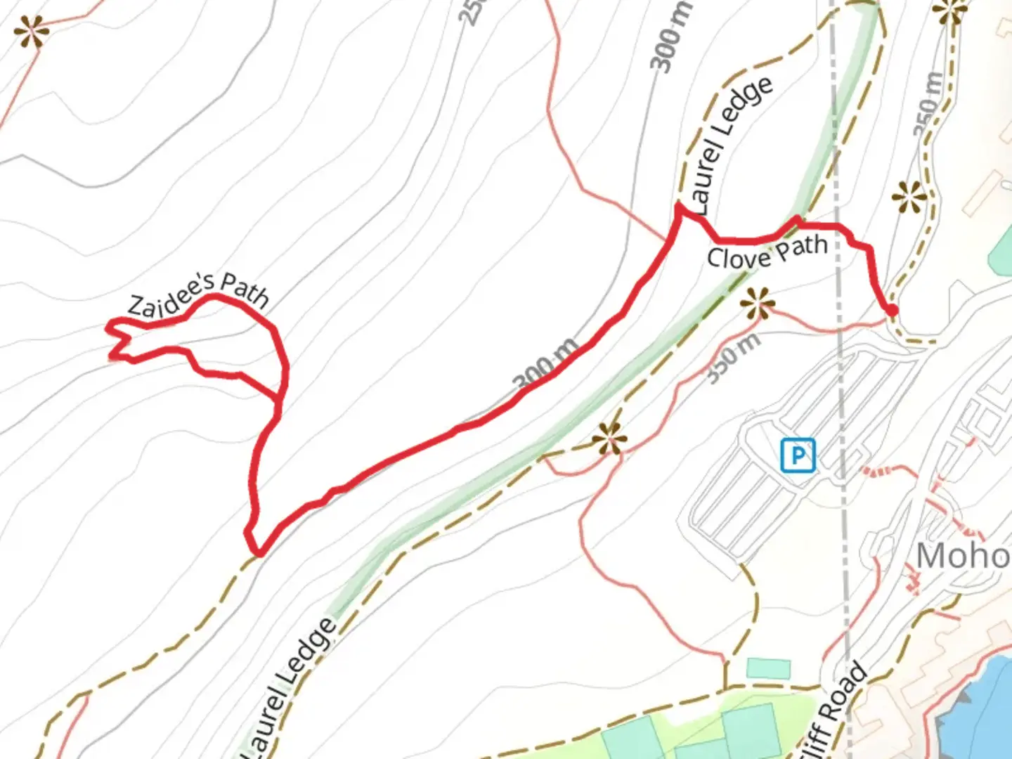 An image depicting the trail Zaidee's Path and its surrounding area.