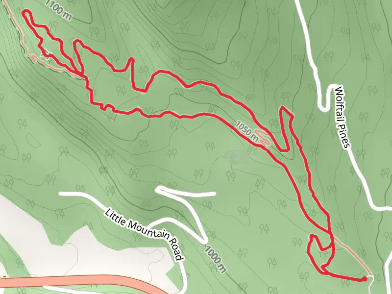 Whitefish Trail - Lion Mountain Loop