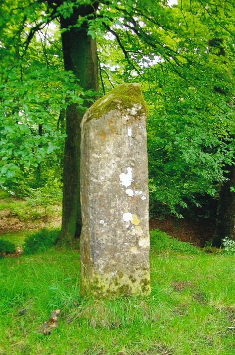 An image depicting the trail Beacon Hill Woods Walk and its surrounding area.