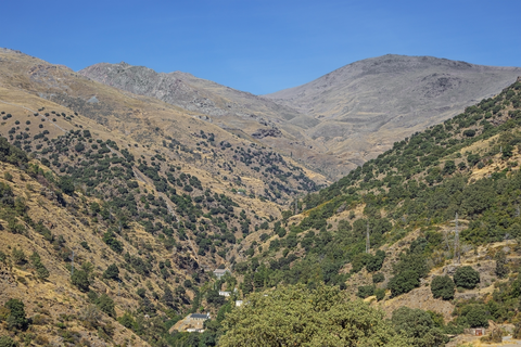 An image depicting the trail La Cebadilla PR A 69 and its surrounding area.