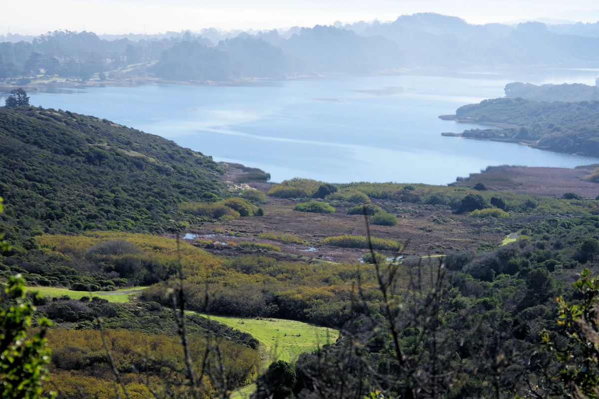 Sweeney Ridge Trail via Sneath Lane Trail
