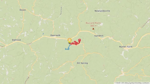 Trip to the Moon Loop