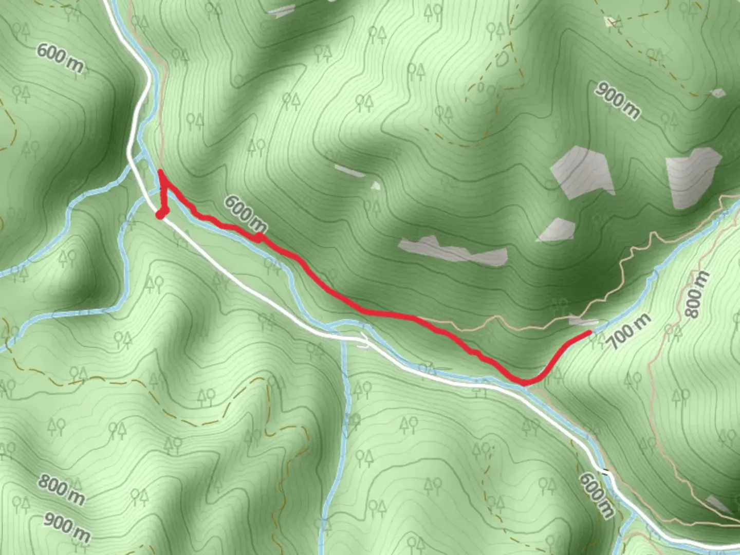 An image depicting the trail Trestle Creek via Brice Creek Trail and its surrounding area.