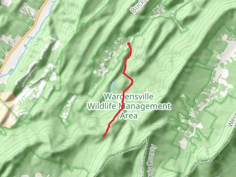 Chimney Rock - Trout Pond Trail