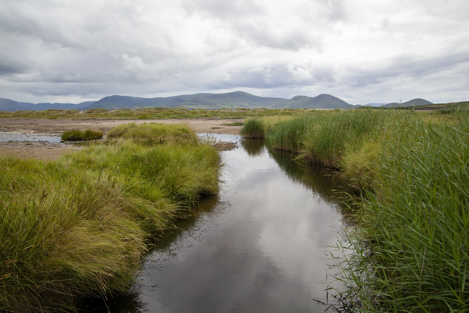 An image depicting the trail Skellig Monks Trail and its surrounding area.