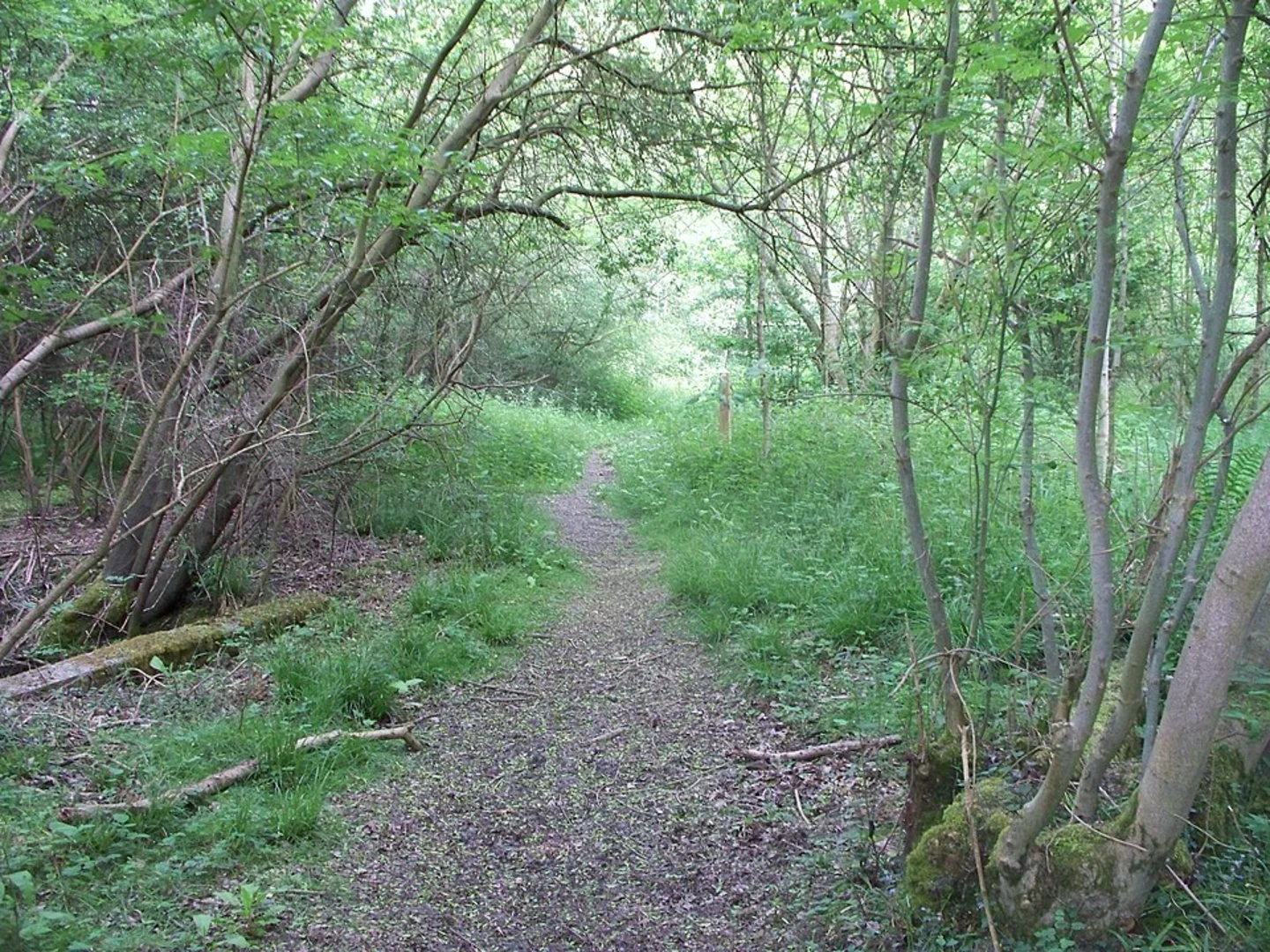 An image depicting the trail Bledington and Foxholes Nature Reserve Loop and its surrounding area.