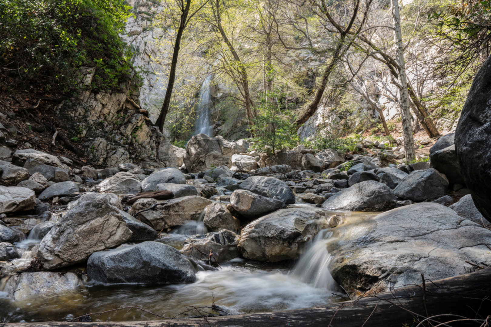 An image depicting the trail Mount Zion Loop - Sturtevant to Winter Creek Trail and its surrounding area.