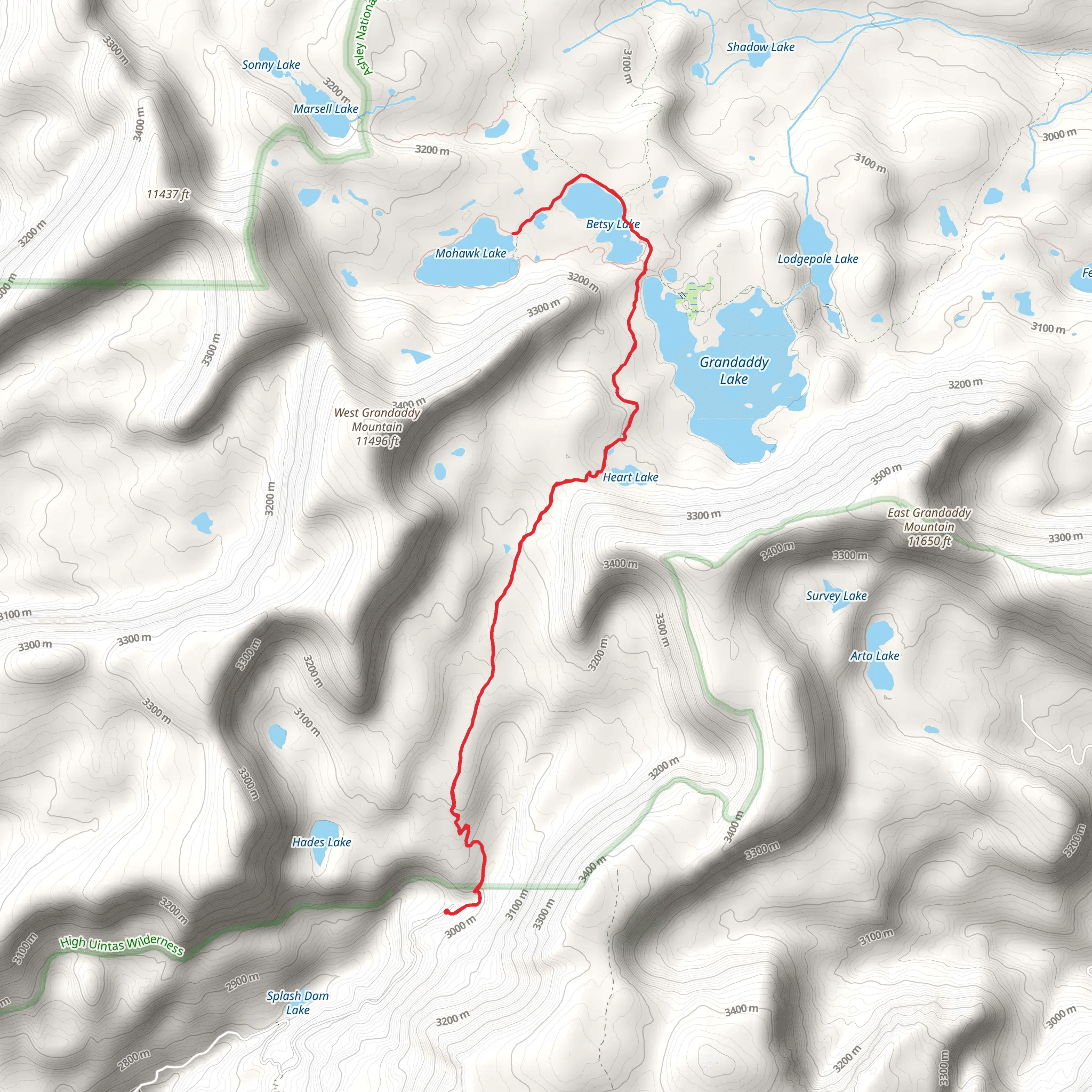 Betsy Lake and Mohawk Lake via Hades Rocky Sea Pass Trail mobile static map