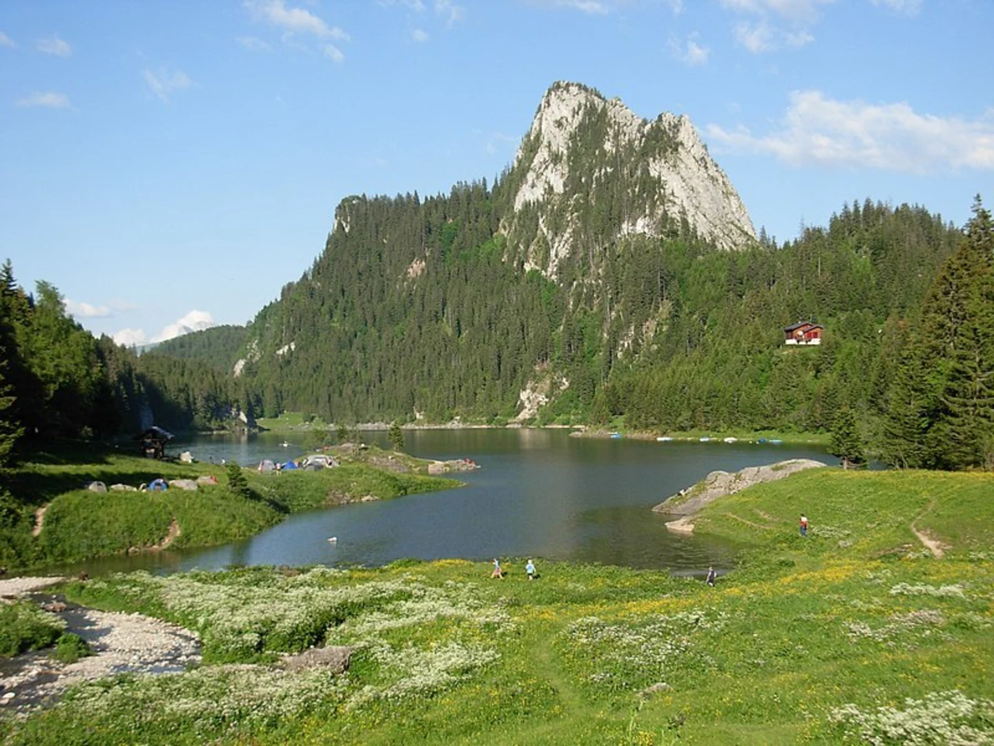 An image depicting the trail Chemin du Lac de Taney and its surrounding area.