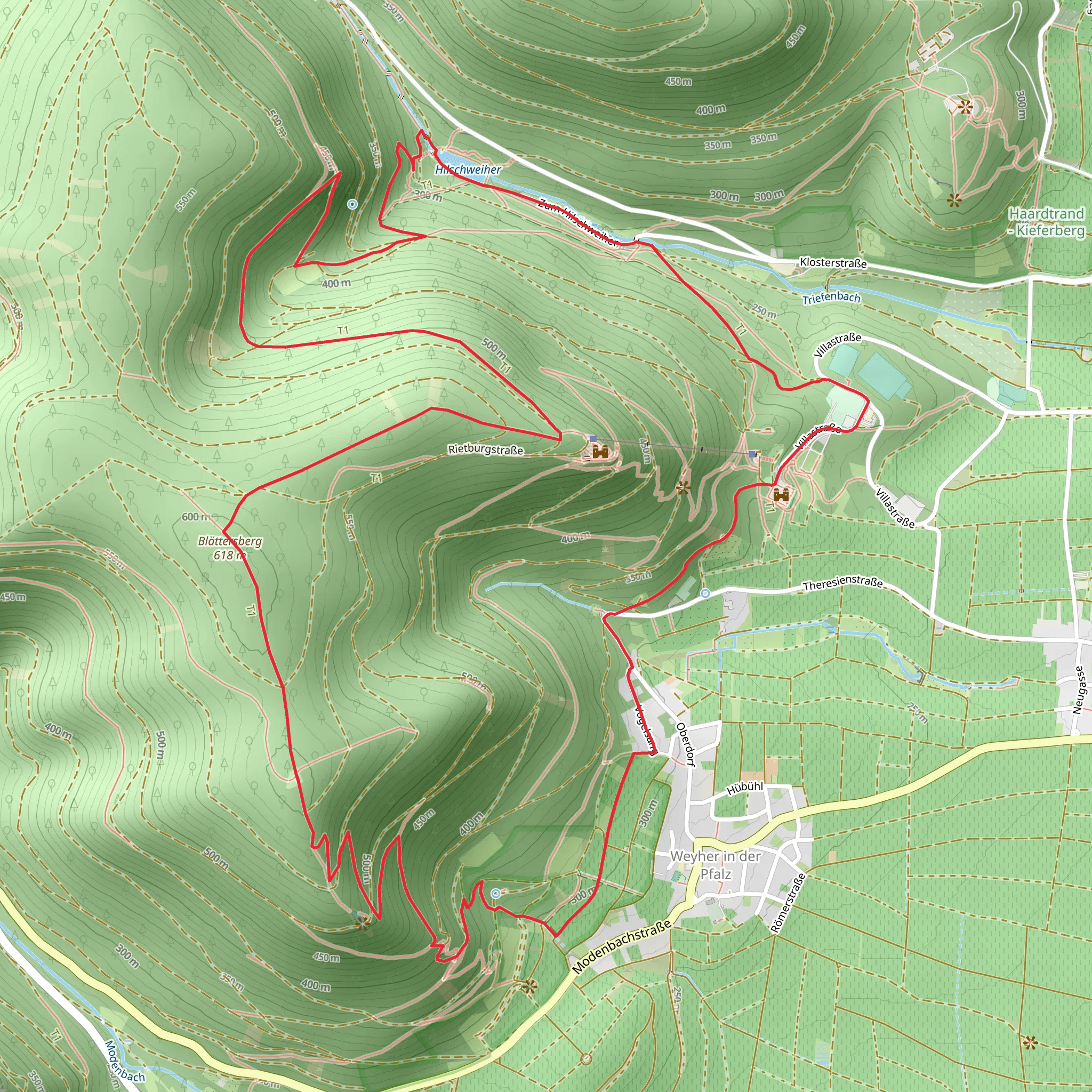 Ruine Rietburg Loop mobile static map