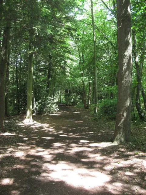 An image depicting the trail Wylands Farm and its surrounding area.