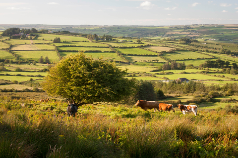 Limerick Greenway